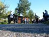 DP2010_017.jpg