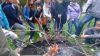 dp2013_067.jpg