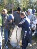 thumb_DP2010_049.jpg