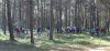thumb_Lipiny2010_001.jpg