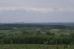 PICT5030.JPG